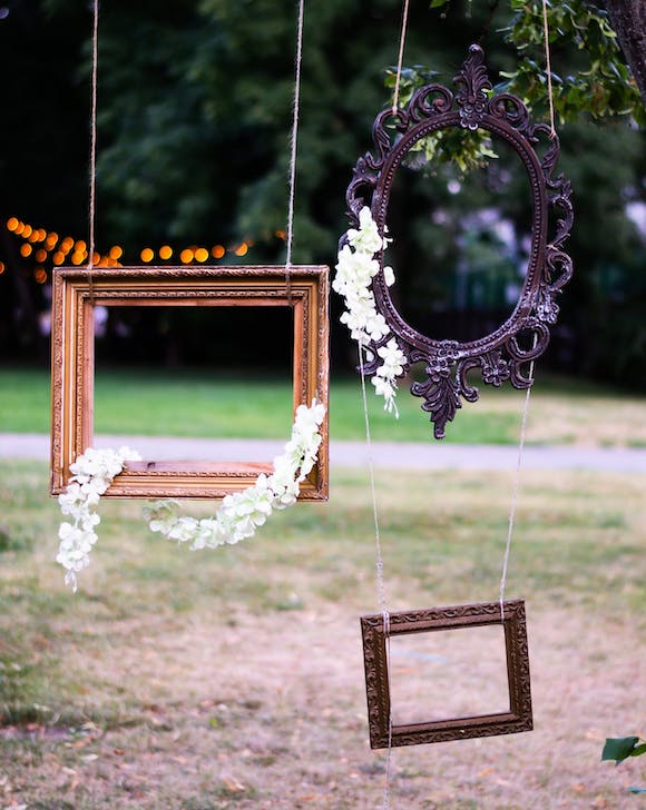 A group of frames from a tree.