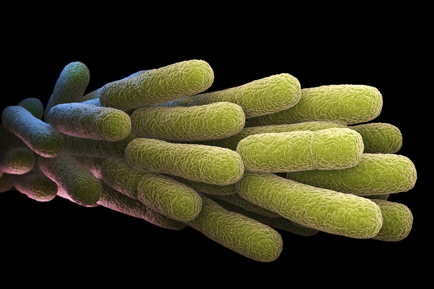 Scientific image of microscopic matter.